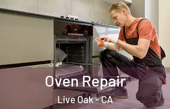  Oven Repair Live Oak - CA