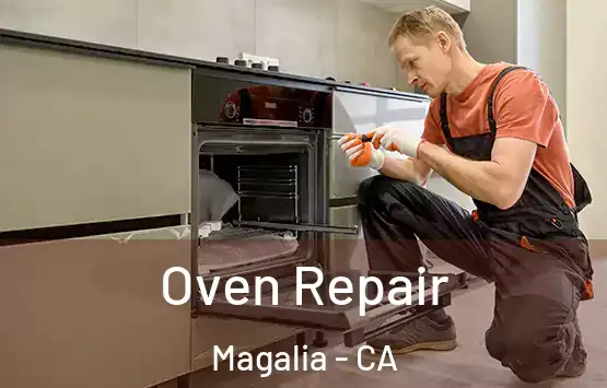  Oven Repair Magalia - CA