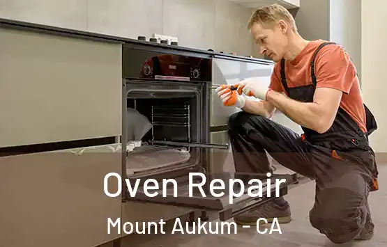  Oven Repair Mount Aukum - CA