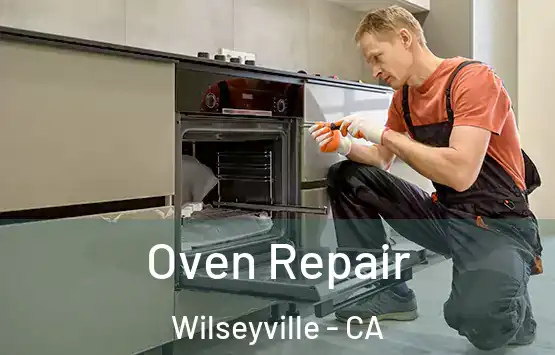  Oven Repair Wilseyville - CA