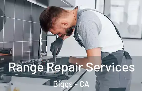  Range Repair Services Biggs - CA