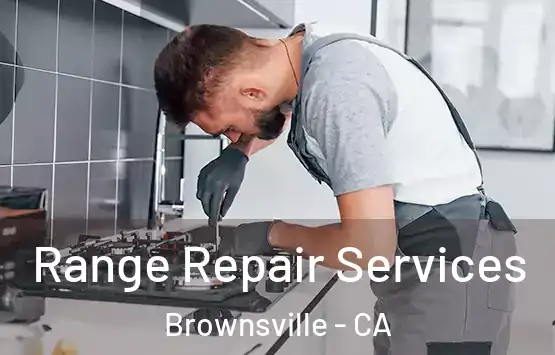  Range Repair Services Brownsville - CA