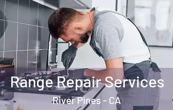  Range Repair Services River Pines - CA