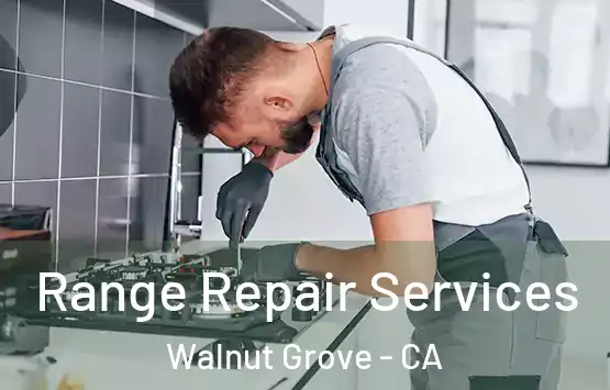  Range Repair Services Walnut Grove - CA