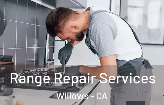  Range Repair Services Willows - CA