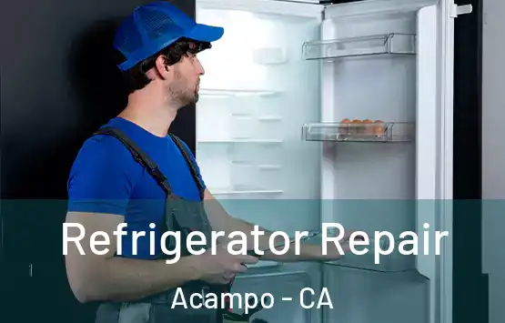  Refrigerator Repair Acampo - CA