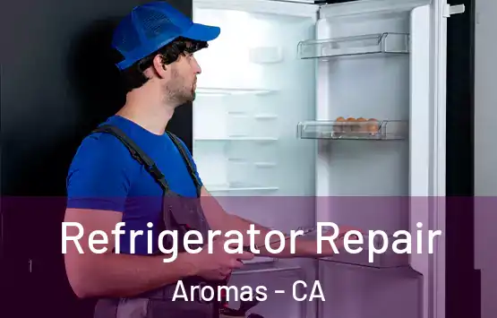  Refrigerator Repair Aromas - CA
