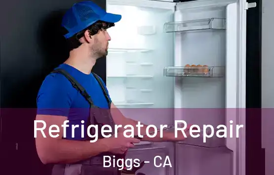  Refrigerator Repair Biggs - CA