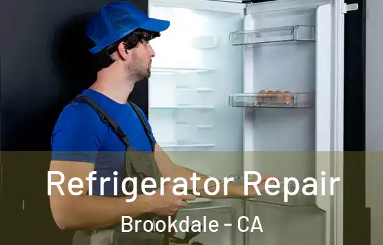  Refrigerator Repair Brookdale - CA