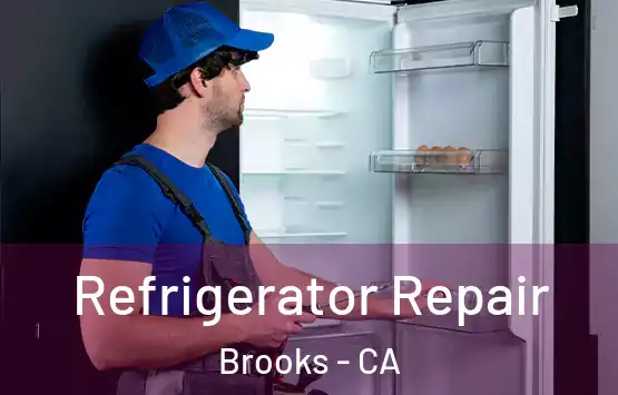  Refrigerator Repair Brooks - CA