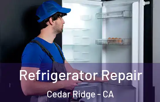  Refrigerator Repair Cedar Ridge - CA