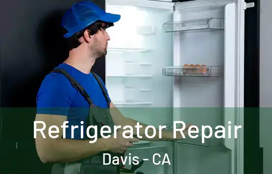  Refrigerator Repair Davis - CA