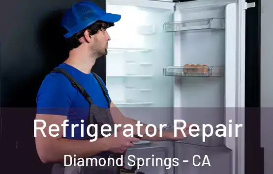  Refrigerator Repair Diamond Springs - CA