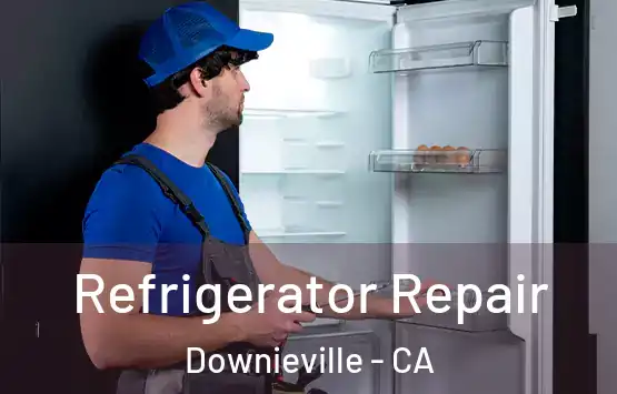  Refrigerator Repair Downieville - CA