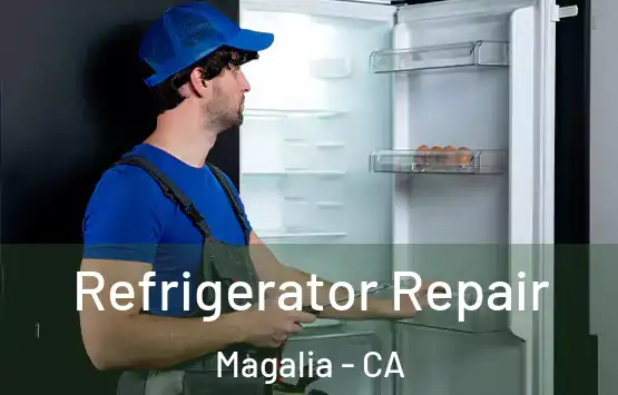  Refrigerator Repair Magalia - CA
