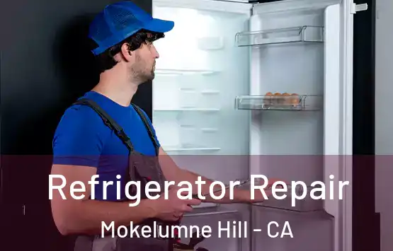  Refrigerator Repair Mokelumne Hill - CA
