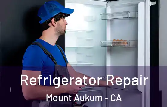  Refrigerator Repair Mount Aukum - CA