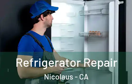  Refrigerator Repair Nicolaus - CA