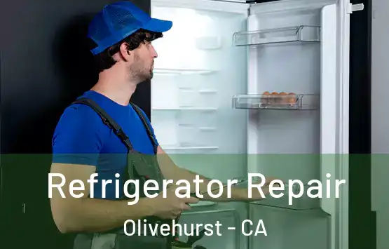  Refrigerator Repair Olivehurst - CA