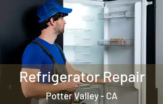  Refrigerator Repair Potter Valley - CA