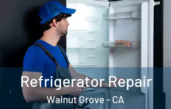  Refrigerator Repair Walnut Grove - CA