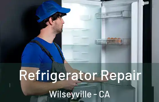  Refrigerator Repair Wilseyville - CA