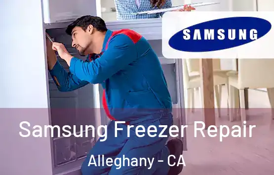  Samsung Freezer Repair Alleghany - CA