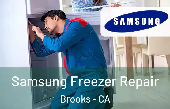  Samsung Freezer Repair Brooks - CA