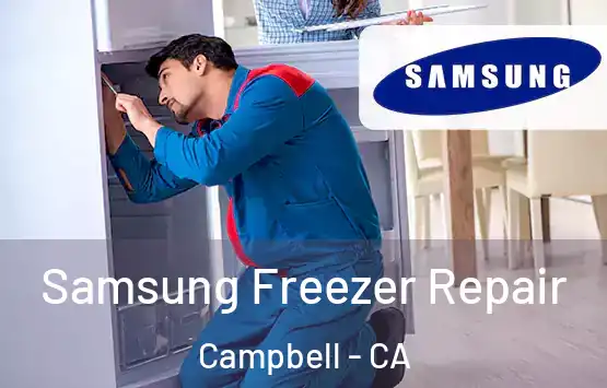  Samsung Freezer Repair Campbell - CA