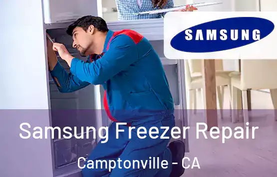  Samsung Freezer Repair Camptonville - CA