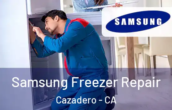  Samsung Freezer Repair Cazadero - CA
