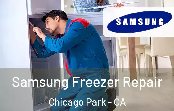  Samsung Freezer Repair Chicago Park - CA