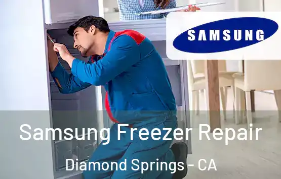  Samsung Freezer Repair Diamond Springs - CA