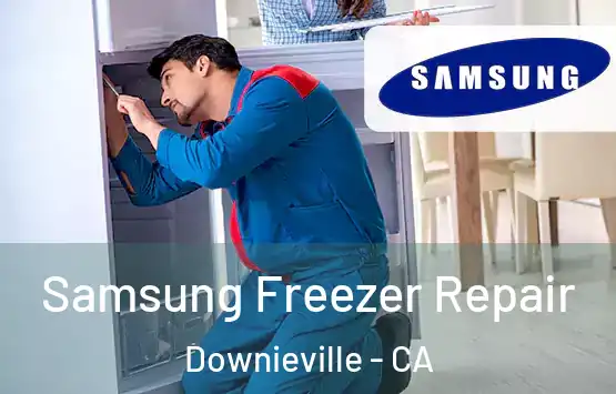  Samsung Freezer Repair Downieville - CA