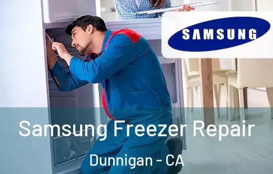  Samsung Freezer Repair Dunnigan - CA