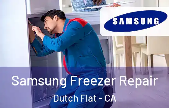  Samsung Freezer Repair Dutch Flat - CA