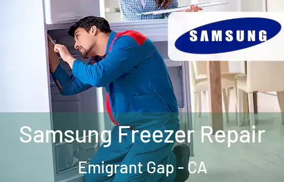  Samsung Freezer Repair Emigrant Gap - CA
