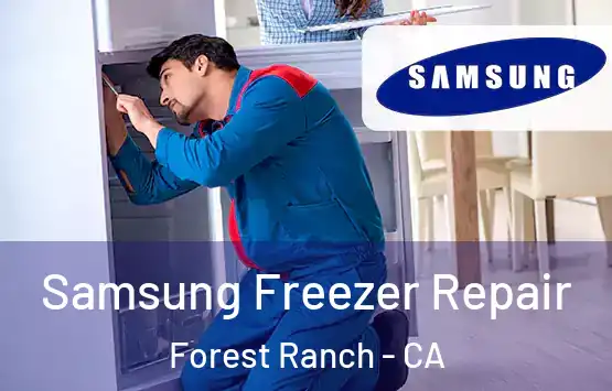  Samsung Freezer Repair Forest Ranch - CA