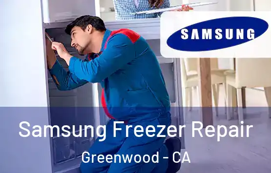  Samsung Freezer Repair Greenwood - CA