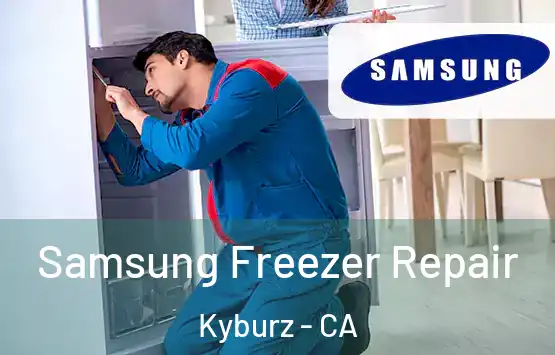  Samsung Freezer Repair Kyburz - CA