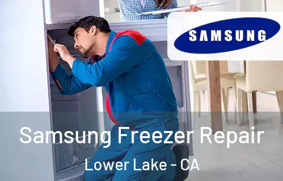  Samsung Freezer Repair Lower Lake - CA