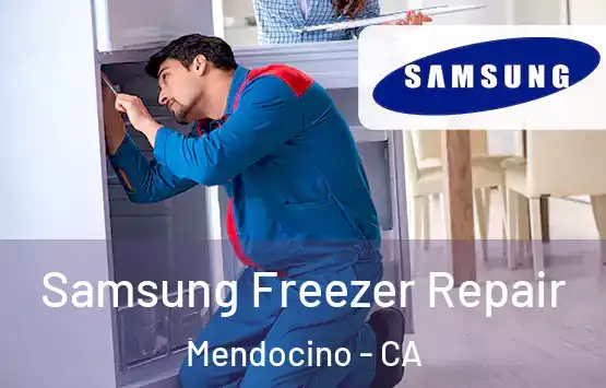  Samsung Freezer Repair Mendocino - CA