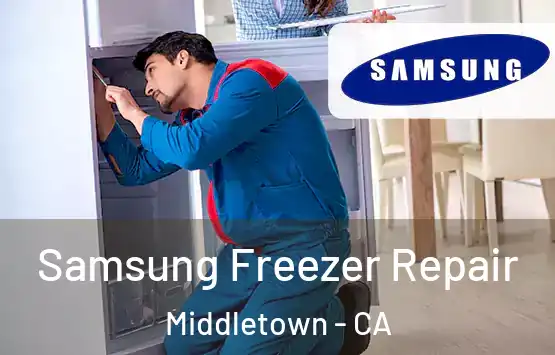  Samsung Freezer Repair Middletown - CA