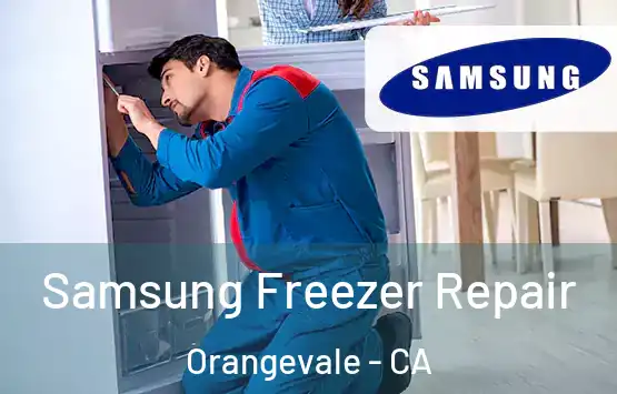  Samsung Freezer Repair Orangevale - CA