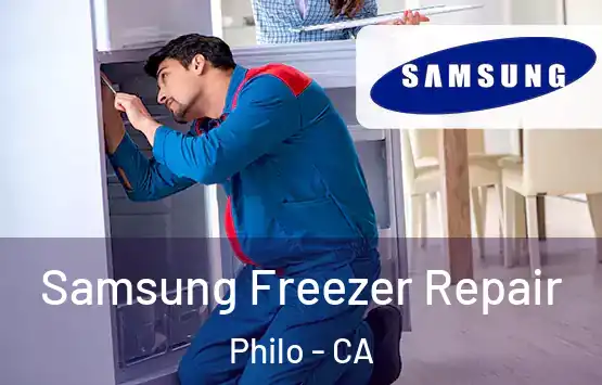  Samsung Freezer Repair Philo - CA