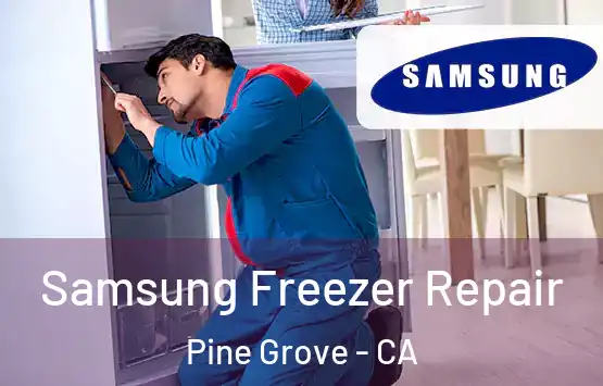  Samsung Freezer Repair Pine Grove - CA