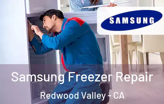  Samsung Freezer Repair Redwood Valley - CA