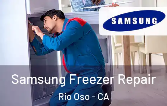  Samsung Freezer Repair Rio Oso - CA