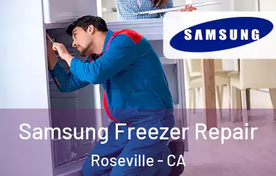  Samsung Freezer Repair Roseville - CA
