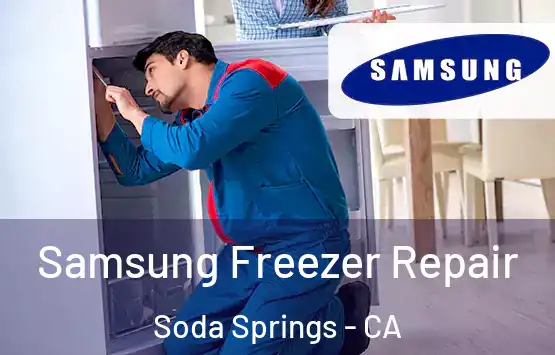  Samsung Freezer Repair Soda Springs - CA